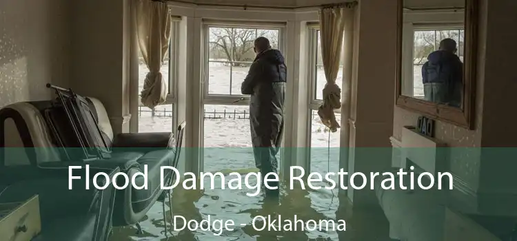 Flood Damage Restoration Dodge - Oklahoma