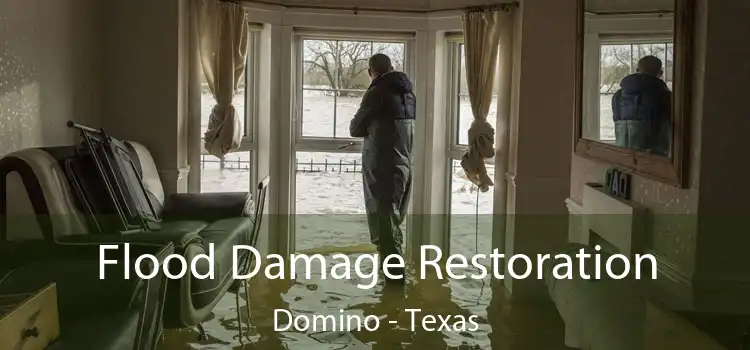 Flood Damage Restoration Domino - Texas