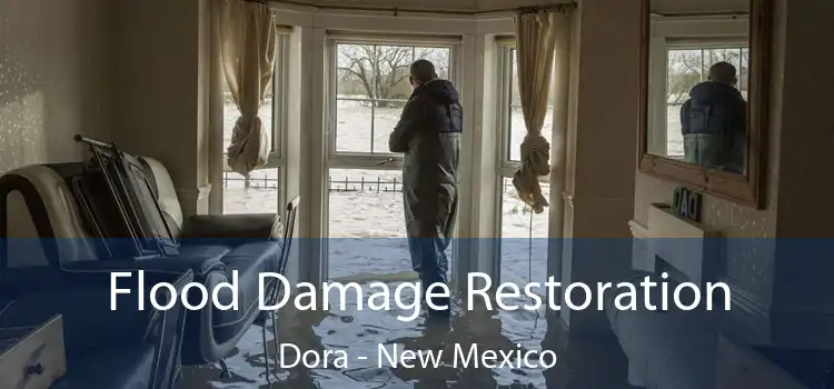 Flood Damage Restoration Dora - New Mexico