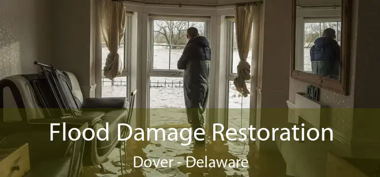 Flood Damage Restoration Dover - Delaware