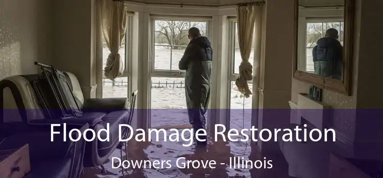 Flood Damage Restoration Downers Grove - Illinois