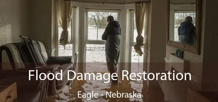 Flood Damage Restoration Eagle - Nebraska