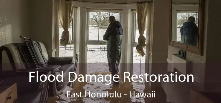 Flood Damage Restoration East Honolulu - Hawaii