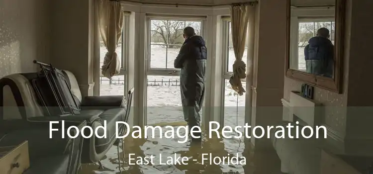 Flood Damage Restoration East Lake - Florida