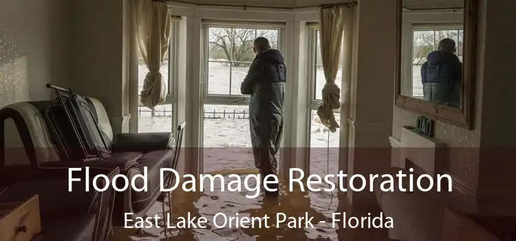 Flood Damage Restoration East Lake Orient Park - Florida