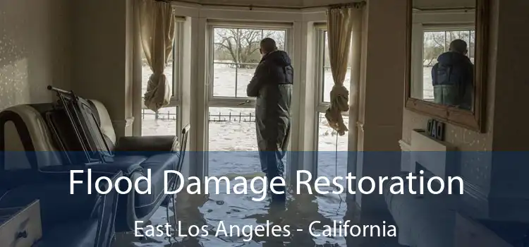 Flood Damage Restoration East Los Angeles - California