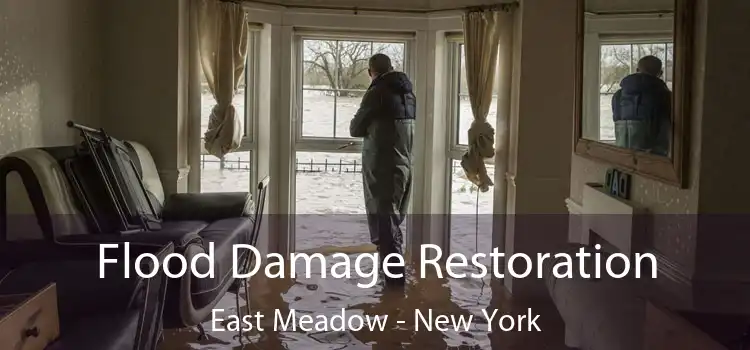 Flood Damage Restoration East Meadow - New York