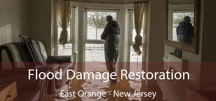 Flood Damage Restoration East Orange - New Jersey