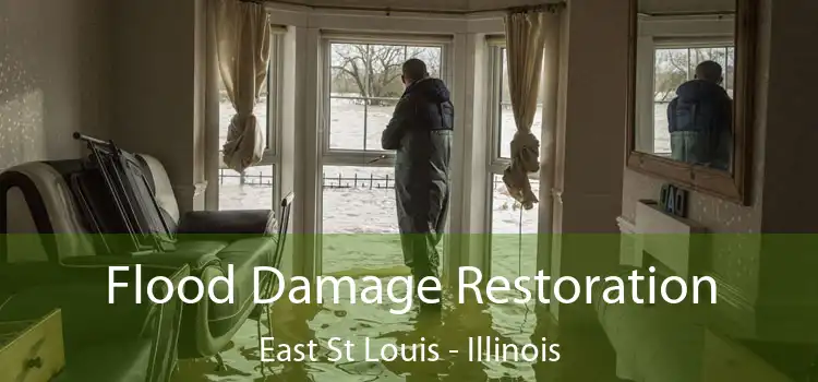 Flood Damage Restoration East St Louis - Illinois