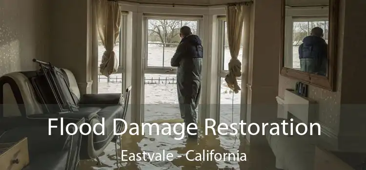 Flood Damage Restoration Eastvale - California