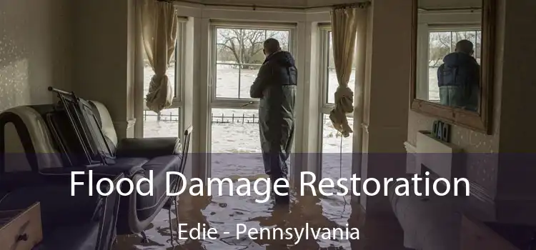 Flood Damage Restoration Edie - Pennsylvania