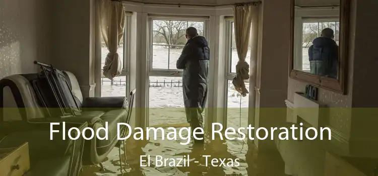 Flood Damage Restoration El Brazil - Texas