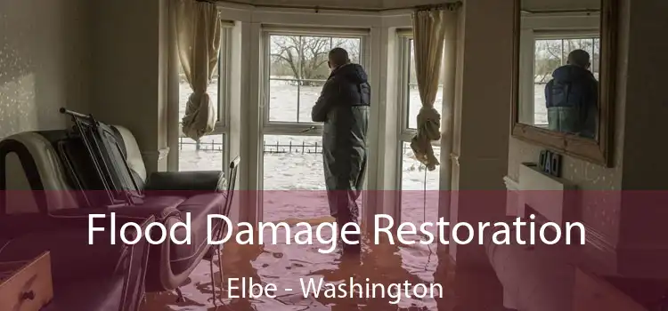 Flood Damage Restoration Elbe - Washington