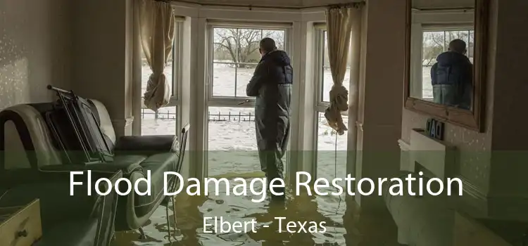 Flood Damage Restoration Elbert - Texas