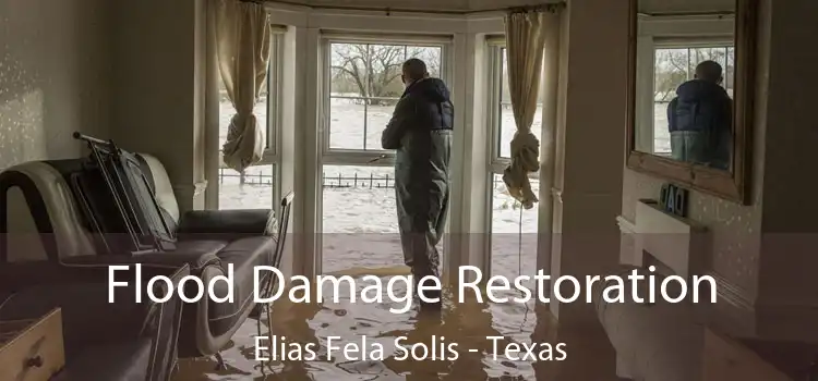 Flood Damage Restoration Elias Fela Solis - Texas