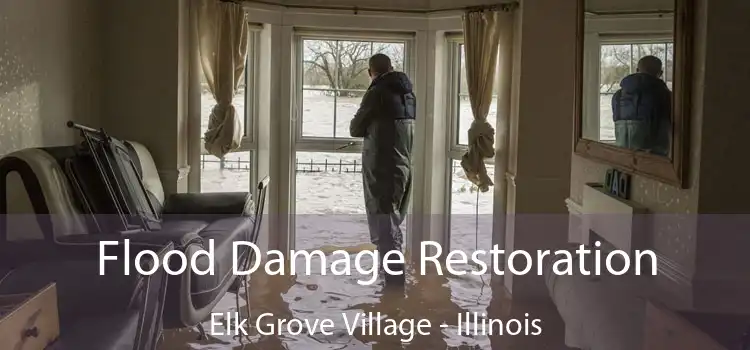 Flood Damage Restoration Elk Grove Village - Illinois