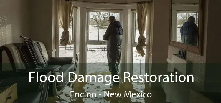 Flood Damage Restoration Encino - New Mexico