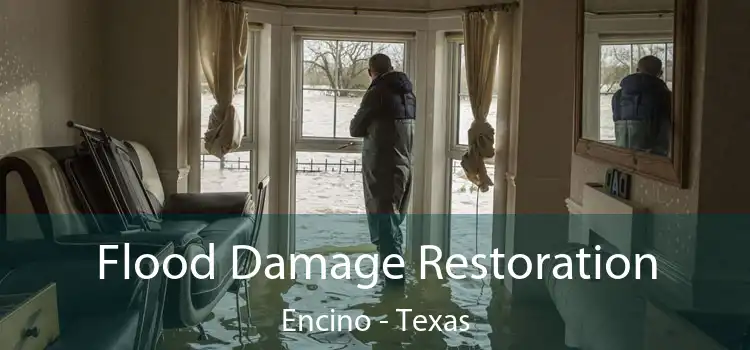 Flood Damage Restoration Encino - Texas