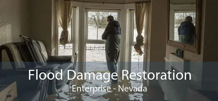 Flood Damage Restoration Enterprise - Nevada