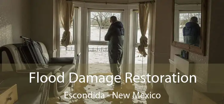 Flood Damage Restoration Escondida - New Mexico