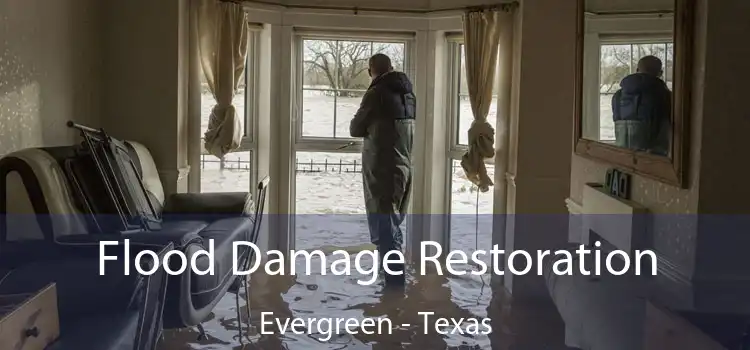 Flood Damage Restoration Evergreen - Texas