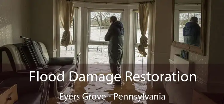 Flood Damage Restoration Eyers Grove - Pennsylvania