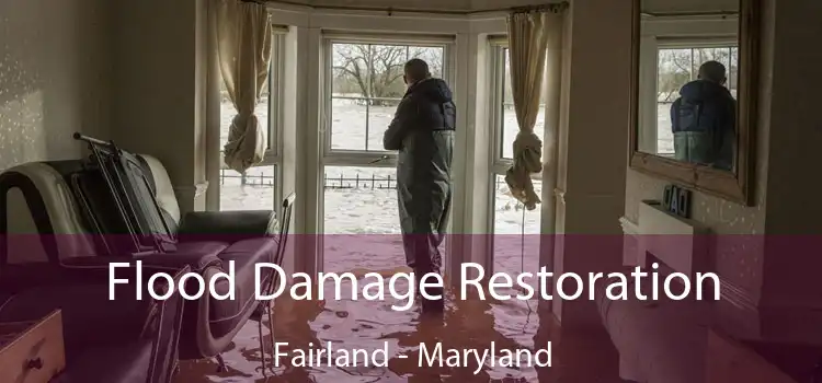 Flood Damage Restoration Fairland - Maryland