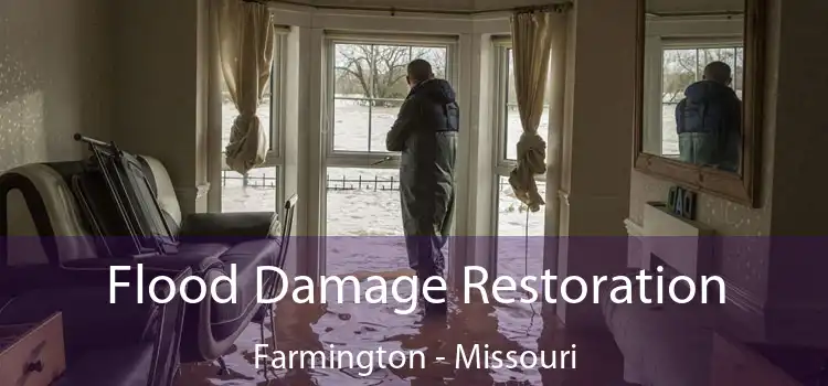 Flood Damage Restoration Farmington - Missouri