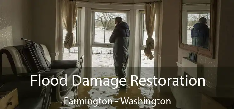 Flood Damage Restoration Farmington - Washington