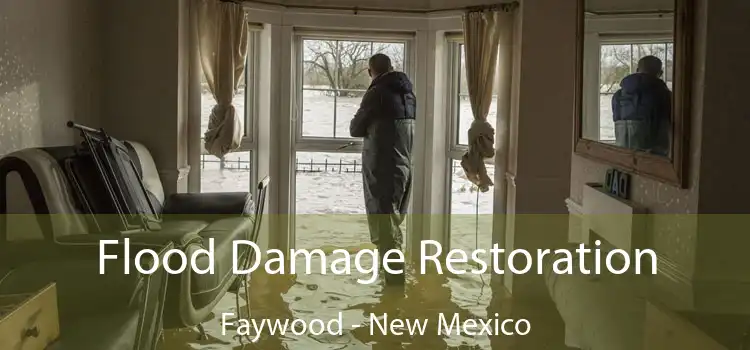 Flood Damage Restoration Faywood - New Mexico