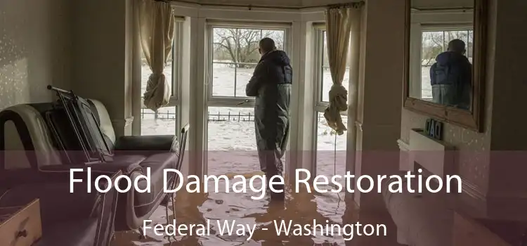 Flood Damage Restoration Federal Way - Washington