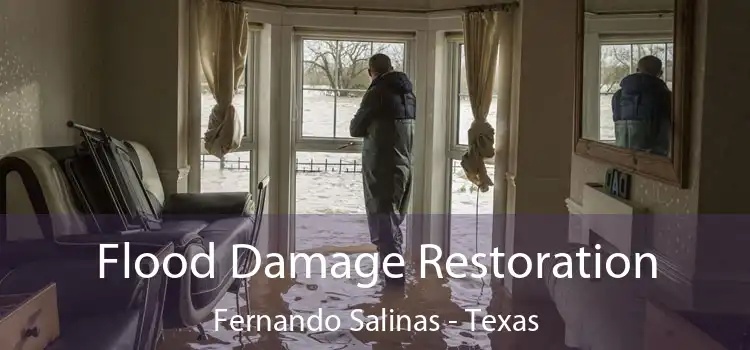 Flood Damage Restoration Fernando Salinas - Texas