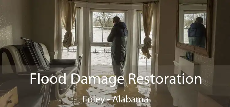 Flood Damage Restoration Foley - Alabama