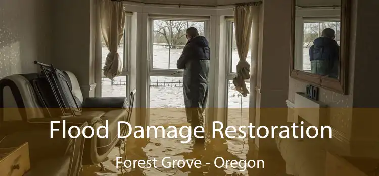 Flood Damage Restoration Forest Grove - Oregon