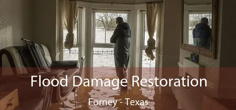 Flood Damage Restoration Forney - Texas