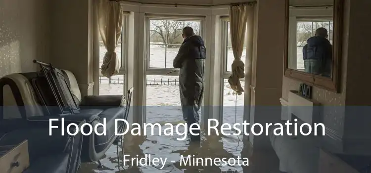 Flood Damage Restoration Fridley - Minnesota