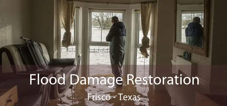 Flood Damage Restoration Frisco - Texas