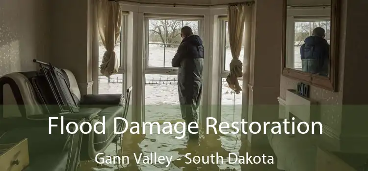 Flood Damage Restoration Gann Valley - South Dakota