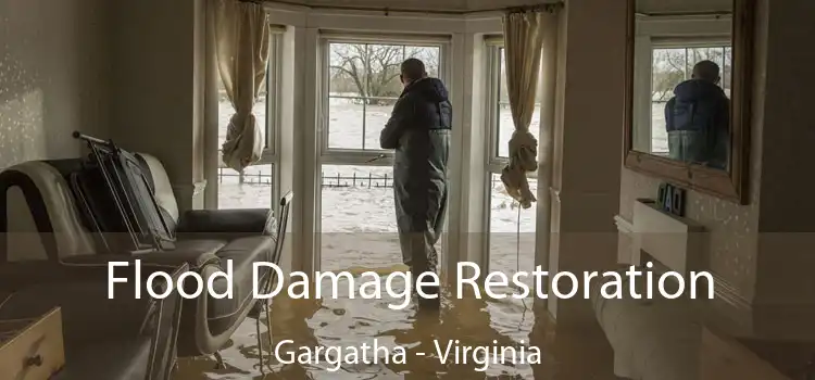 Flood Damage Restoration Gargatha - Virginia