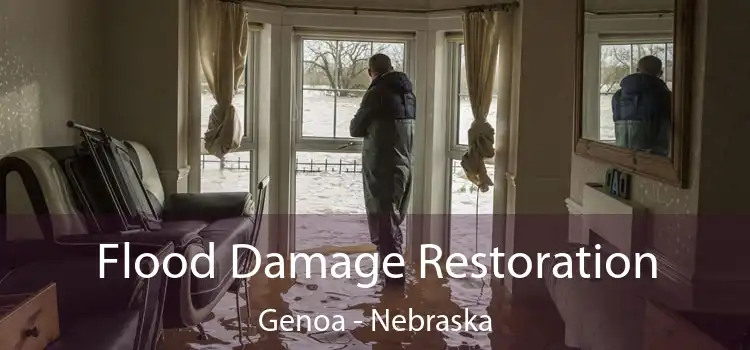 Flood Damage Restoration Genoa - Nebraska