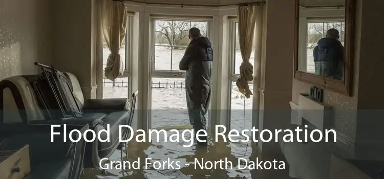 Flood Damage Restoration Grand Forks - North Dakota