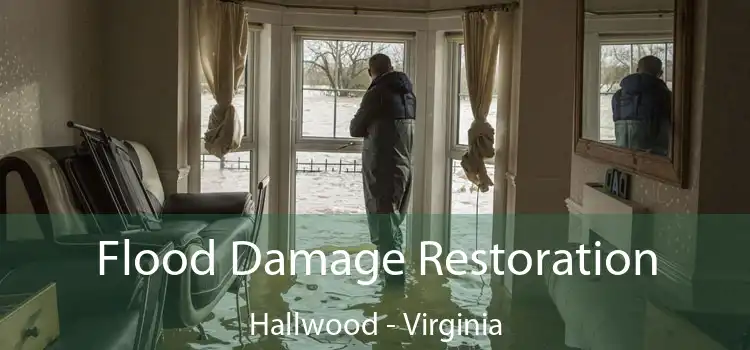 Flood Damage Restoration Hallwood - Virginia