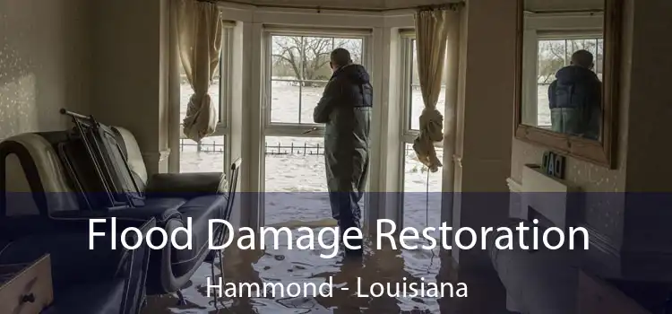 Flood Damage Restoration Hammond - Louisiana