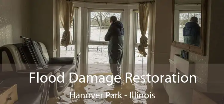 Flood Damage Restoration Hanover Park - Illinois