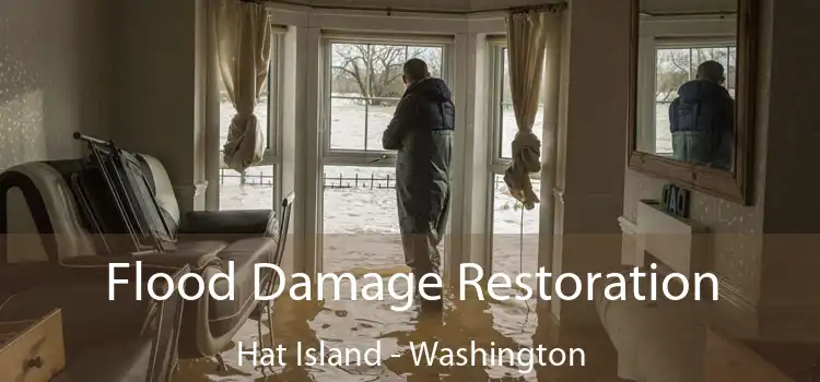 Flood Damage Restoration Hat Island - Washington