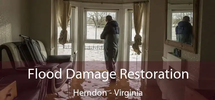 Flood Damage Restoration Herndon - Virginia