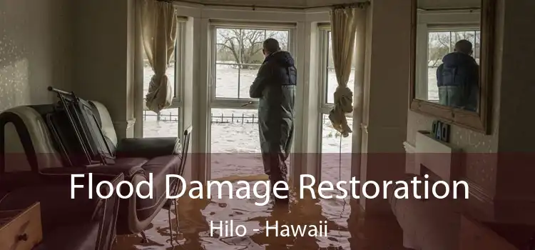 Flood Damage Restoration Hilo - Hawaii