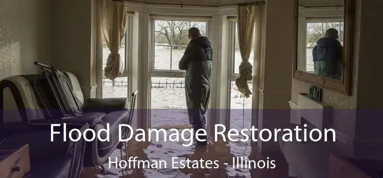 Flood Damage Restoration Hoffman Estates - Illinois