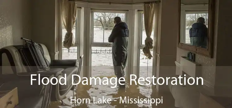 Flood Damage Restoration Horn Lake - Mississippi