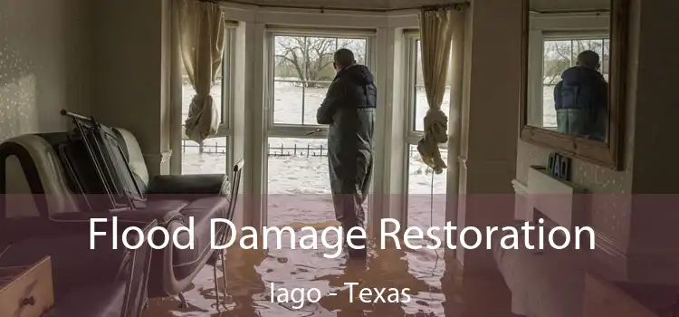 Flood Damage Restoration Iago - Texas